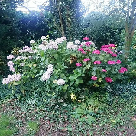 La Nouvelle Criqueboise Criquebeuf-en-Caux