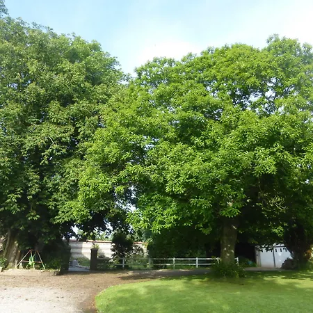 努韦勒克里波瓦斯住宿加早餐旅馆