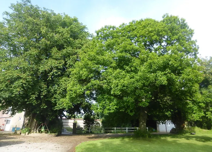 La Nouvelle Criqueboise